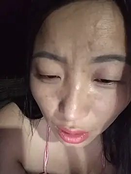zhen-zo webcam