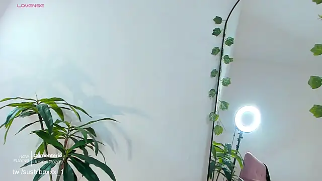 sushiboxxx webcam
