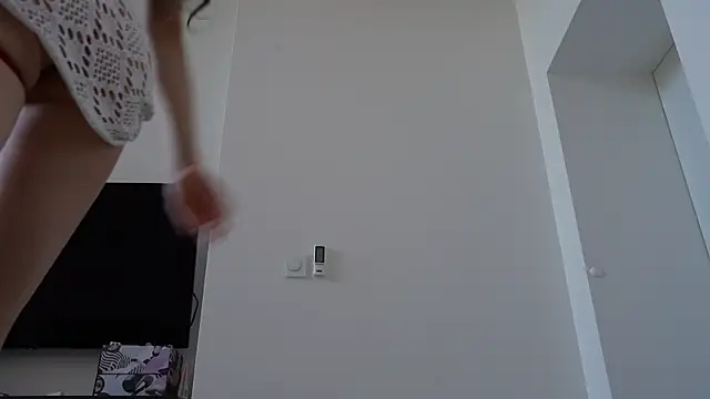 ibiddi webcam