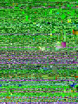meganmeo webcam