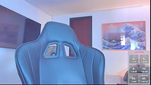 RJBarto webcam