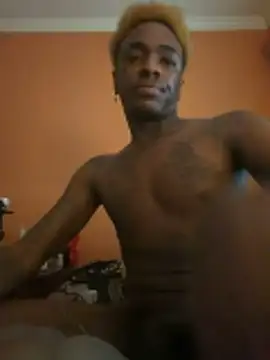 richwifi webcam