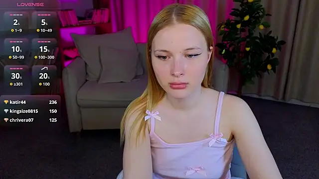 Brietdget webcam