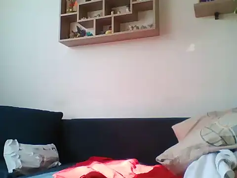 82liska webcam