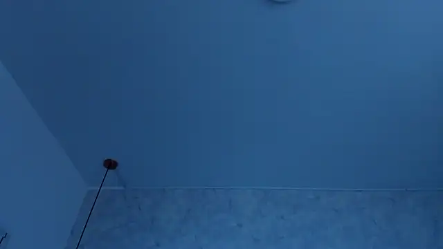 Roseaurora webcam