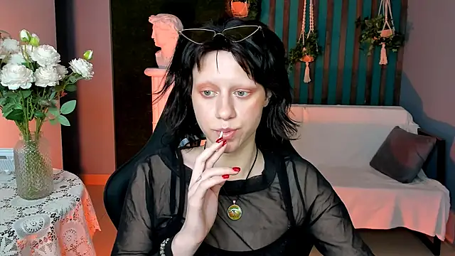LidaDarknet webcam