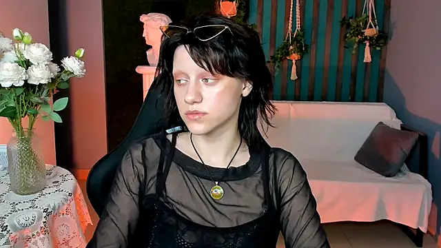 LidaDarknet webcam