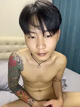 KKX808 webcam