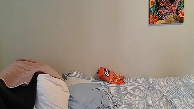 belgianshantie webcam