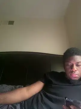 ThickDic28 webcam