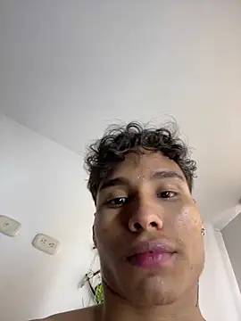 NelModel1 webcam