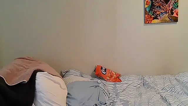 belgianshantie webcam