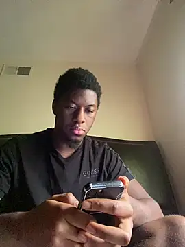 ThickDic28 webcam