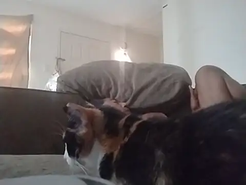 247Srokin webcam