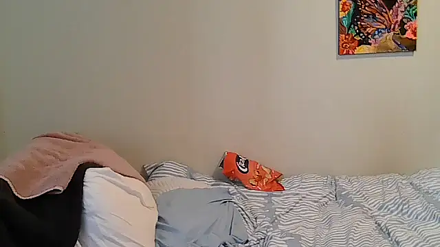 belgianshantie webcam