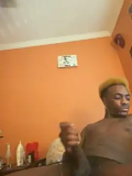 richwifi webcam