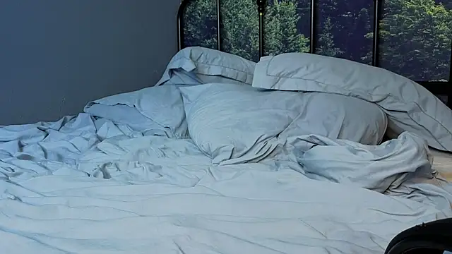 uwu_Lisa webcam