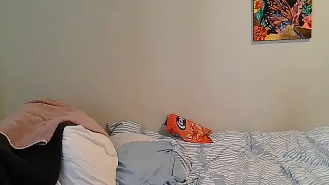 belgianshantie webcam