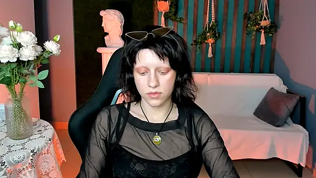 LidaDarknet webcam