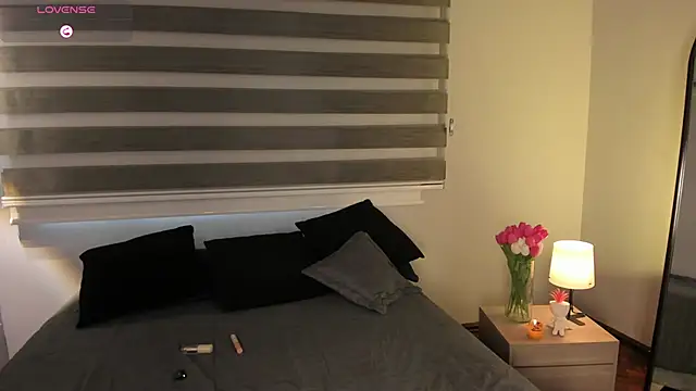 MERIDA_TAYLOR webcam