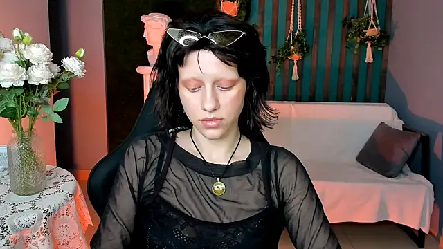 LidaDarknet webcam