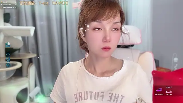 hi-AnAn webcam