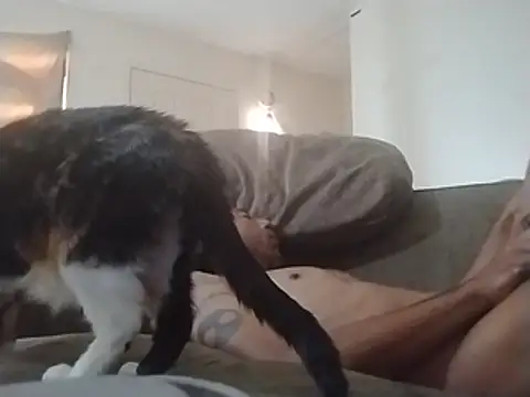 247Srokin webcam
