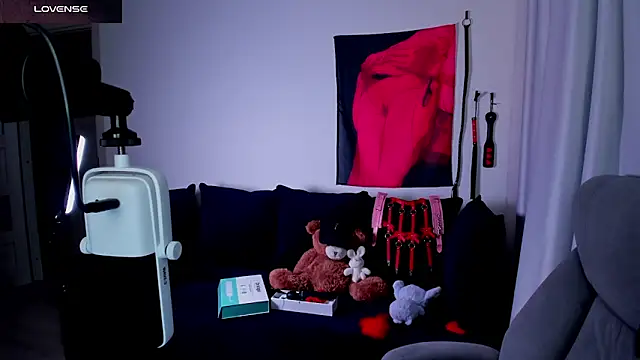 Vulgar_Tamer webcam