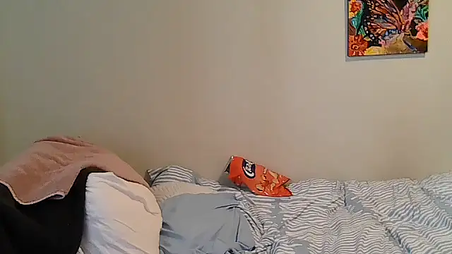belgianshantie webcam