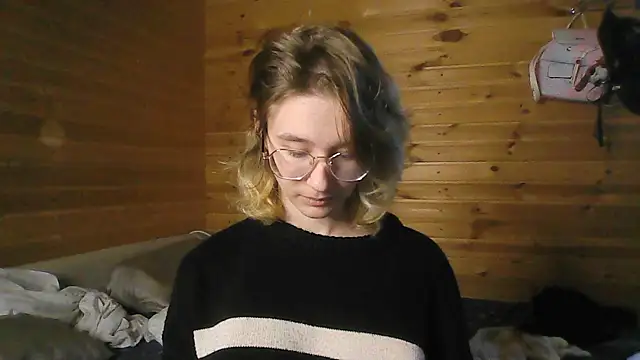 Silva-Tailll webcam