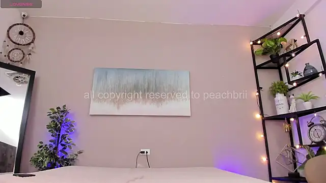 PechBri webcam