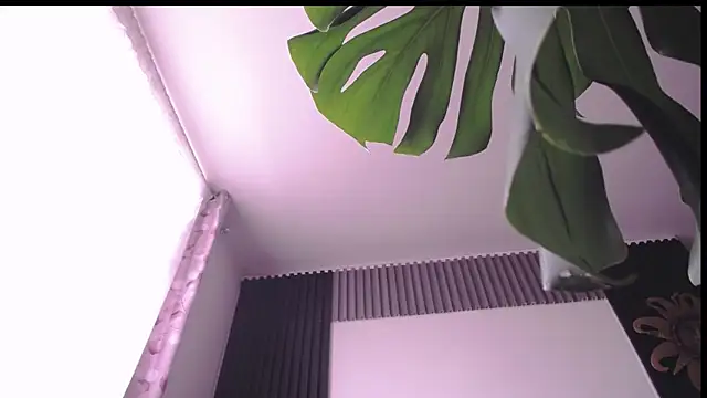 Santiago_kiler webcam