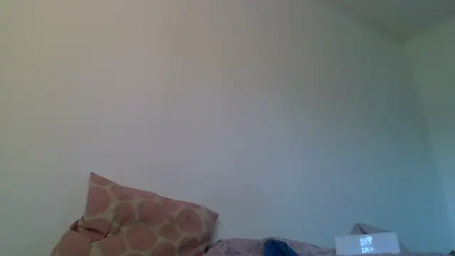 Kaappi1967 webcam