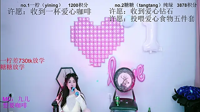CCTW-100 webcam