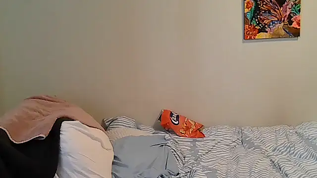 belgianshantie webcam