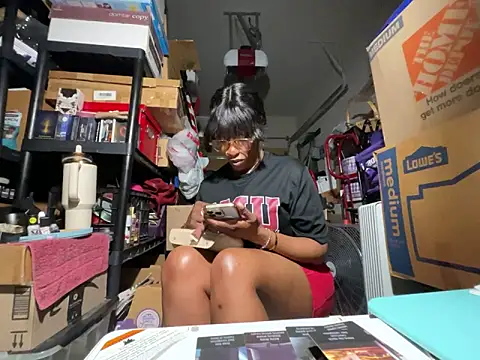 wynterheat webcam
