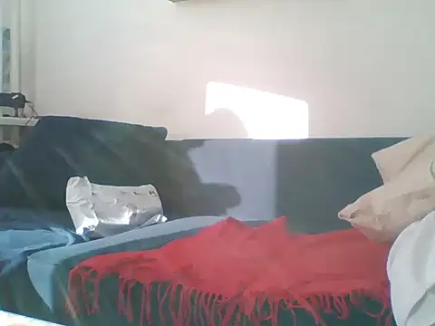 82liska webcam