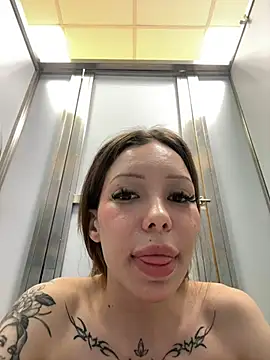 StreetCelebrity webcam