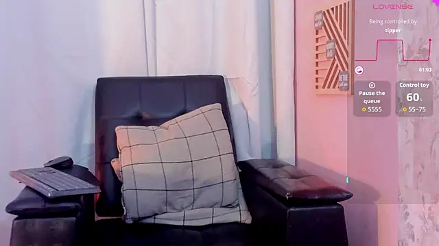 Jaadewest webcam
