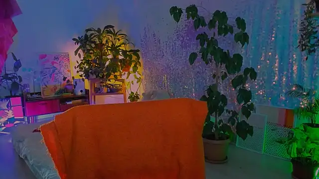 poli__ webcam