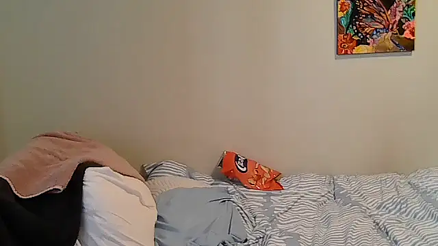 belgianshantie webcam