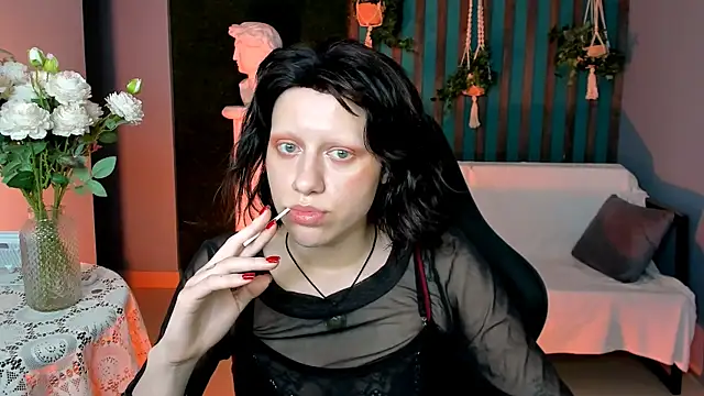 LidaDarknet webcam