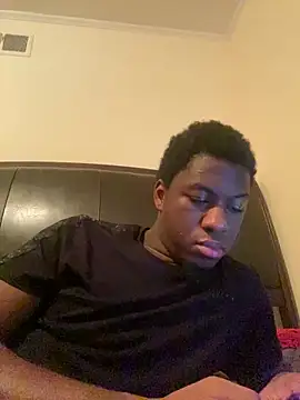 ThickDic28 webcam
