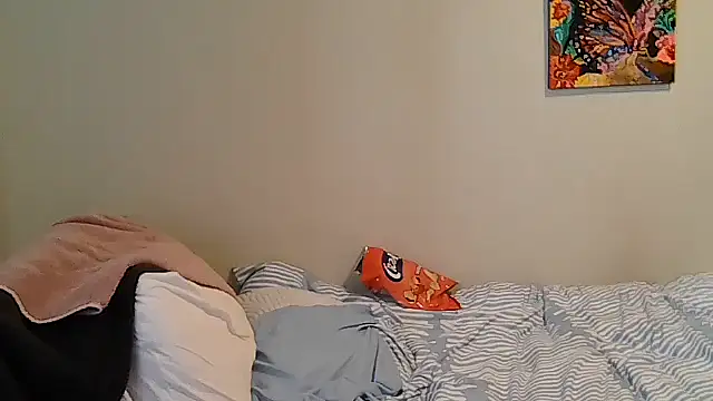 belgianshantie webcam