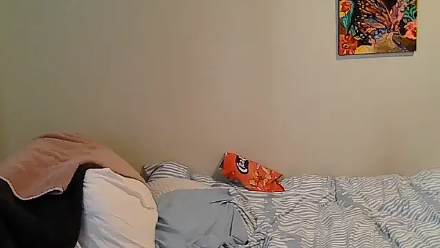 belgianshantie webcam