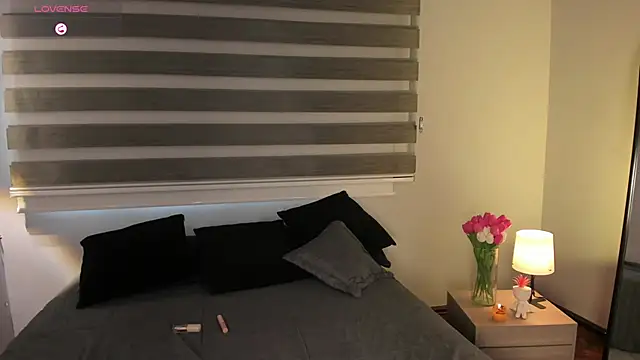 MERIDA_TAYLOR webcam