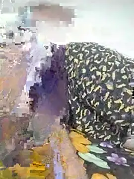 Desi_Lodo_Gujju_Boy webcam