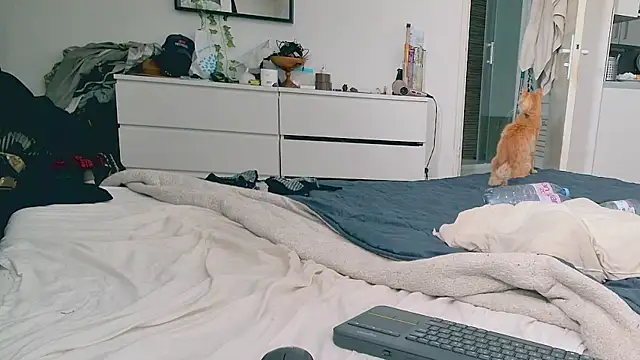 CeriseLapine webcam