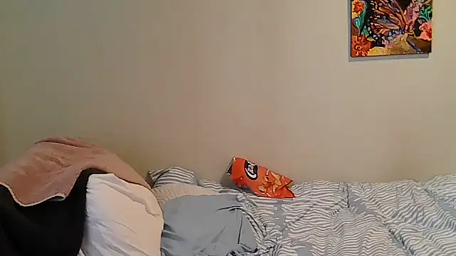 belgianshantie webcam