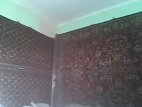 A1B3- webcam